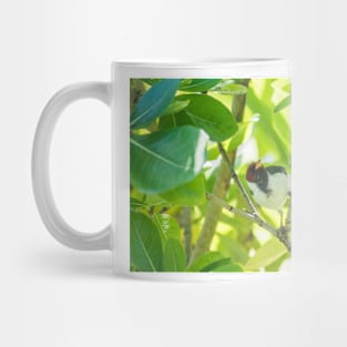 Red-crested cardinal of hawaii 3 Mug